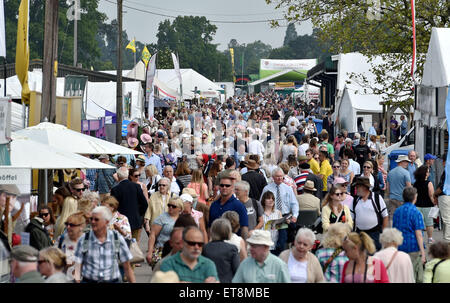 Ardingly Sussex UK 12. Juni 2015 - Massen genießen heißes Wetter, obwohl Gewitter heute später auf den Süden von England Show in Ardingly prognostiziert werden diese Jahre Thema ist The Next Generation für Ernährung und Landwirtschaft Credit: Simon Dack/Alamy Live News Stockfoto