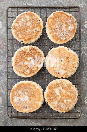 Walisische Kuchen oder Welshcakes (oder Bilder) - eine traditionelle Delikatesse in Wales Stockfoto
