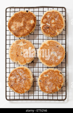 Walisische Kuchen oder Welshcakes (oder Bilder) - eine traditionelle Delikatesse in Wales Stockfoto