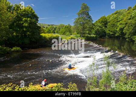 Kajakfahrer verhandeln Wehr auf dem Fluß Calder, Sowerby Bridge, West Yorkshire Stockfoto
