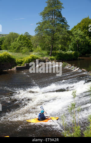 Kajakfahrer verhandeln Wehr auf dem Fluß Calder, Sowerby Bridge, West Yorkshire Stockfoto