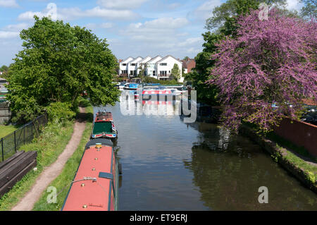 Bridgewater Kanal in Stockton Heath, Cheshire Stockfoto