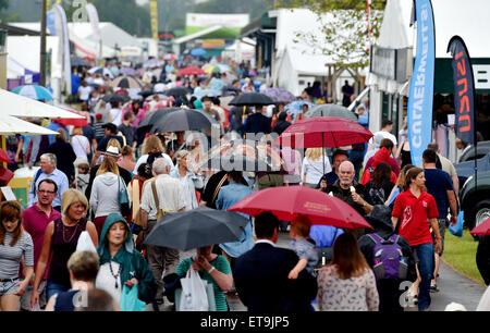 Ardingly Sussex UK 12. Juni 2015 - die Schirme herauskommen, als der Regen beginnt zu fallen auf den Süden von England Show in Ardingly heute diesjährigen Thema ist The Next Generation für Lebensmittel und Landwirtschaft Credit: Simon Dack/Alamy Live News Stockfoto