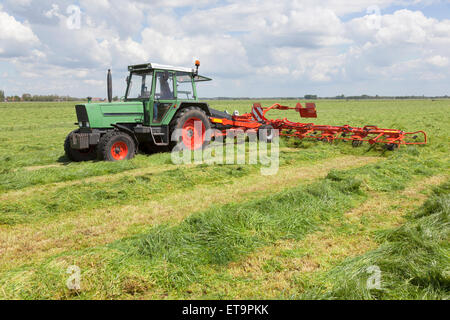 roten Heu Turner hinter Traktor auf grüner Wiese in den Niederlanden Stockfoto