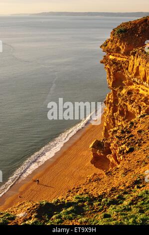 Blick von der Klippe in West Bay, Dorset, England, am späten Nachmittag. Nicht identifizierbare Person zu Fuß Hund am Strand unten. Stockfoto