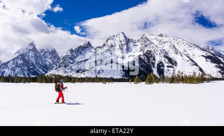 Backcountry Skifahrer unter den Teton, Grand-Teton-Nationalpark, Wyoming, USA Stockfoto