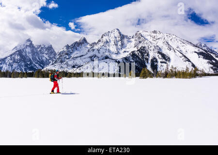 Backcountry Skifahrer unter den Teton, Grand-Teton-Nationalpark, Wyoming, USA Stockfoto