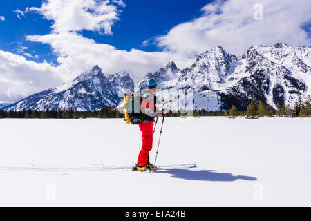 Backcountry Skifahrer unter den Teton, Grand-Teton-Nationalpark, Wyoming, USA Stockfoto