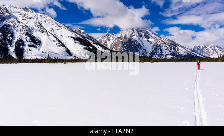 Backcountry Skifahrer unter Mount Moran, Grand-Teton-Nationalpark, Wyoming, USA Stockfoto