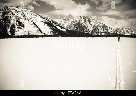 Backcountry Skifahrer unter Mount Moran, Grand-Teton-Nationalpark, Wyoming, USA Stockfoto