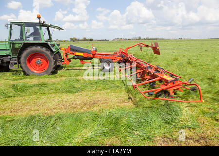 roten Heu Turner hinter Traktor auf grüner Wiese in den Niederlanden Stockfoto