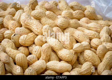 geröstete Erdnüsse in meschotschek bei einem Dorffest Stockfoto