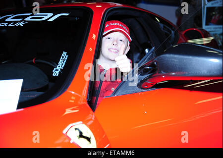 Autosport International 2015 bei Birmingham NEC - Tag 4 mit: Atmosphäre wo: Birmingham, Vereinigtes Königreich bei: Kredit-11. Januar 2015: Anthony Stanley/WENN.com Stockfoto