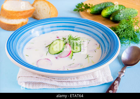 Kalter Sommer Suppe mit Joghurt und Gemüse und Kräuter hautnah Stockfoto