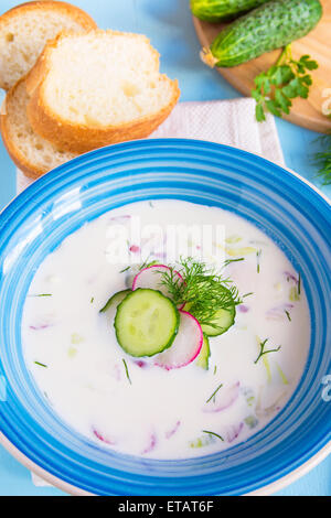 Kalter Sommer Suppe mit Joghurt und Gemüse und Kräuter hautnah Stockfoto