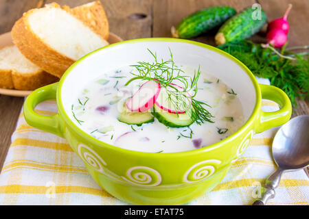 Kalter Sommer Suppe mit Joghurt, Gemüse und Kräutern mit Zutaten hautnah Stockfoto