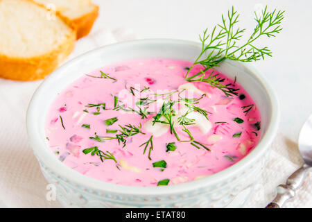 Kalte Suppe mit Gemüse und Kräutern in Schüssel Stockfoto