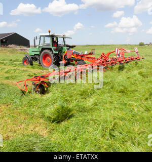 roten Heu Turner hinter Traktor auf grüner Wiese in den Niederlanden Stockfoto