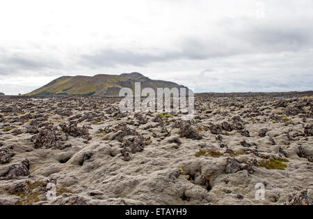 Typische vulkanische Lavalandschaft in Island Stockfoto