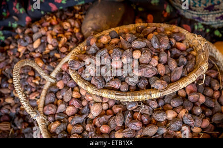 Marokkanischen Argan Samen für Öl Pruduction vorbereitet Stockfoto