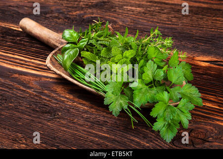 Verschiedene aromatische Küchenkräuter. Thymian, Majoran, Basilikum, Minze, Schnittlauch und Petersilie auf hölzernen Löffel, mit der alten Schere auf alte Braue Stockfoto