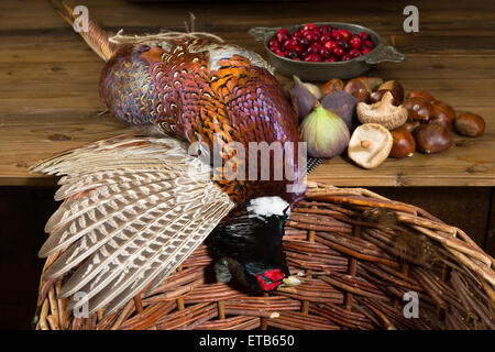 Wilden Fasan und Obst in einem Altmeister-Jagd-Stillleben Stockfoto