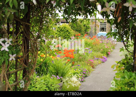 Eine Cottage-Garten-Grenze unterbrochen von Orientalischer Mohn, Aquilegias und Farn gedeiht im Peak District, Derbyshire UK Stockfoto