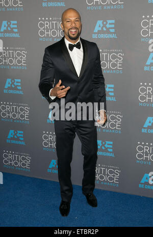 20. annual Critics' Choice Movie Awards im Hollywood Palladium - Ankünfte Featuring: gemeinsame wo: Los Angeles, California, Vereinigte Staaten von Amerika bei: Kredit-15. Januar 2015: Brian To/WENN.com Stockfoto