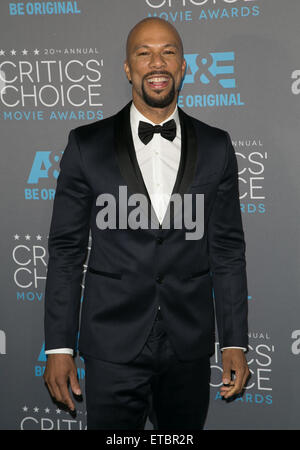 20. annual Critics' Choice Movie Awards im Hollywood Palladium - Ankünfte Featuring: gemeinsame wo: Los Angeles, California, Vereinigte Staaten von Amerika bei: Kredit-15. Januar 2015: Brian To/WENN.com Stockfoto