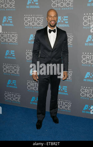 20. annual Critics' Choice Movie Awards im Hollywood Palladium - Ankünfte Featuring: gemeinsame wo: Los Angeles, California, Vereinigte Staaten von Amerika bei: Kredit-15. Januar 2015: Brian To/WENN.com Stockfoto