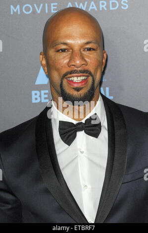 Die 20. Annual Critics Choice Movie Awards Ankünfte Featuring: gemeinsame wo: Los Angeles, California, Vereinigte Staaten von Amerika bei: Kredit-16. Januar 2015: Apega/WENN.com Stockfoto