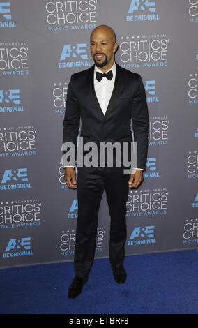 Die 20. Annual Critics Choice Movie Awards Ankünfte Featuring: gemeinsame wo: Los Angeles, California, Vereinigte Staaten von Amerika bei: Kredit-16. Januar 2015: Apega/WENN.com Stockfoto