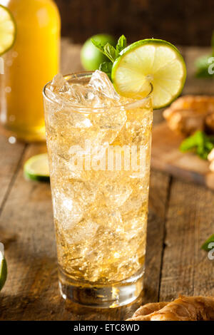 Erfrischende Golden Ginger Beer mit Limette und Minze Stockfoto