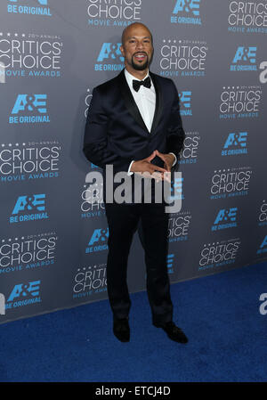 20. annual Critics' Choice Movie Awards statt im Hollywood Palladium - Ankünfte Featuring: gemeinsame wo: Los Angeles, California, Vereinigte Staaten von Amerika bei: Kredit-16. Januar 2015: FayesVision/WENN.com Stockfoto