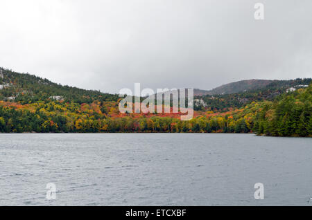 Waldsee im sonnigen Aurumn Tag in Kanada Stockfoto