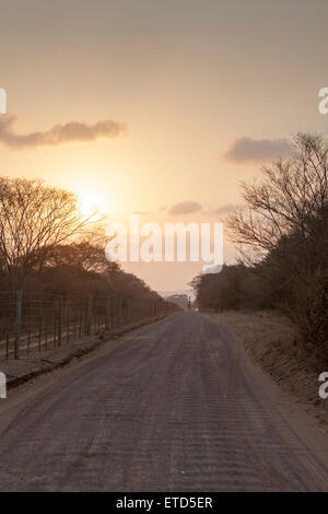 Sonnenuntergang am Phinda Private Game Reserve mit Giraffe in Ferne, Südafrika Stockfoto