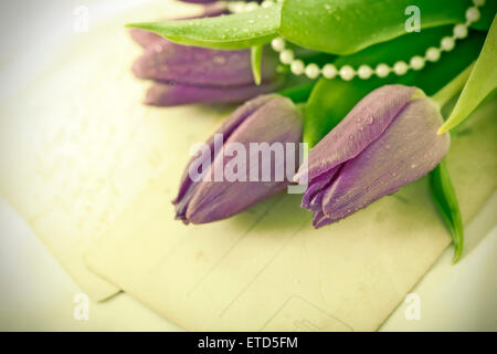 Alte Liebe Briefe und violette Tulpen. Retro-Stil getönten Bild Stockfoto