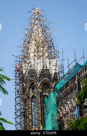 Mumbai Indien, Indisch-Asiatisch, Fort Mumbai, Kala Ghoda, Kirche, Gerüste, Renovierung, Reparatur, Besucher reisen Reise touristischer Tourismus Wahrzeichen Stockfoto