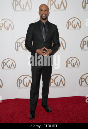 Prominente besuchen Producers Guild of America 26. Annual Hersteller Guild Awards im Hyatt Regency Century Plaza.  Mitwirkende: Gemeinsame wo: Los Angeles, California, Vereinigte Staaten von Amerika bei: Kredit-24. Januar 2015: Brian To/WENN.com Stockfoto