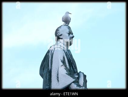 Eine Möwe stützt sich auf die Schnee bedeckten Statue von William Pitt (der jüngere) in George Street, Edinburgh Featuring: Ansicht wo: Edinburgh, Vereinigtes Königreich bei: 29. Januar 2015 Credit: WENN.com Stockfoto