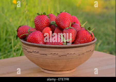 Leckere Erdbeeren in einer Schüssel Ton in der Natur Stockfoto