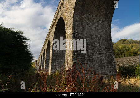 Der Knucklas-Viadukt, Brücke mit Bögen tragen die Herzen von Wales Bahnlinie. Knighton, Powys, Wales, Vereinigtes Königreich. Stockfoto