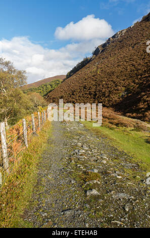 Pfad, ursprünglich der Elan Valley Railway, in der Nähe von Rhayader, Powys, Wales, Vereinigtes Königreich. Stockfoto