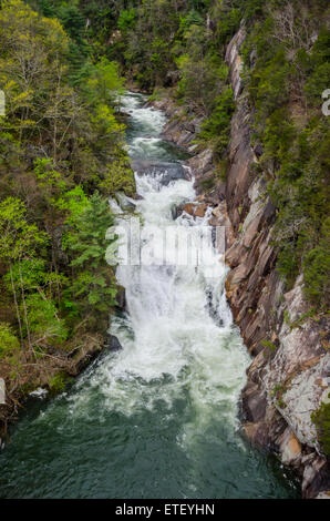 Toccoa Falls in Tallulah Schlucht auf einen hohen Wasser-Veröffentlichungstermin Stockfoto