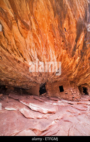 Feuer Haus Ruine ist eine fantasievolle Namen für einen Satz der Anasazi-Ruinen im Süden Gabel des oberen Mule Canyon in der Nähe von Highway 95... Stockfoto