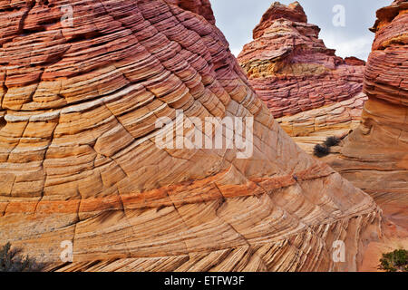 Baumwolle-Bucht Bereich des The South Coyote Buttes in der Paria Canyon Wilderness Area im nördlichen Arizona... Stockfoto