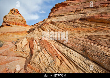 Baumwolle-Bucht Bereich des The South Coyote Buttes in der Paria Canyon Wilderness Area im nördlichen Arizona... Stockfoto