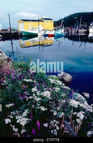 Wildblumen, Hafen, Angelboote/Fischerboote über Nova Scotia, Kanada Stockfoto