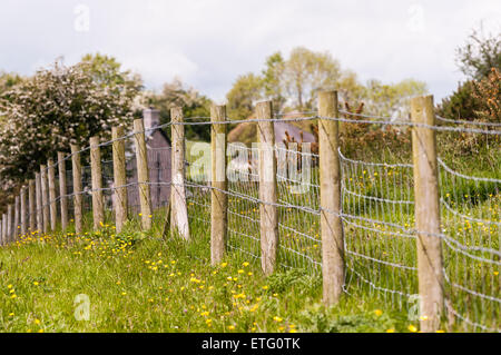 Stacheldrahtzaun und Beiträge in einem Feld in Irland Stockfoto