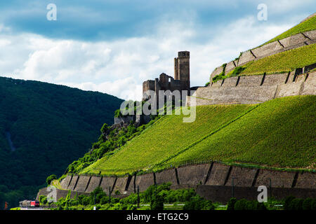 Ruine der Burg Ehrenfels auf dem Fluss Rhein Rüdesheim Hessen Deutschland Europa Stockfoto